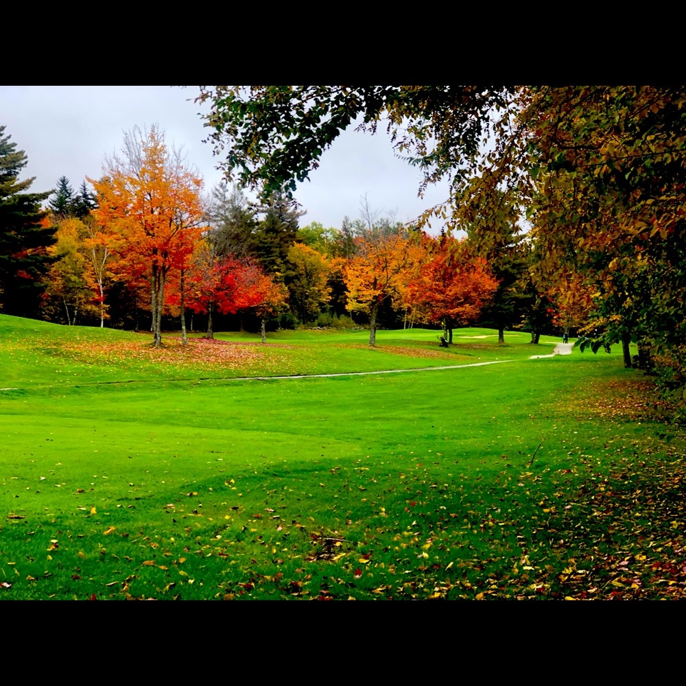 Meet your Posher, Maura